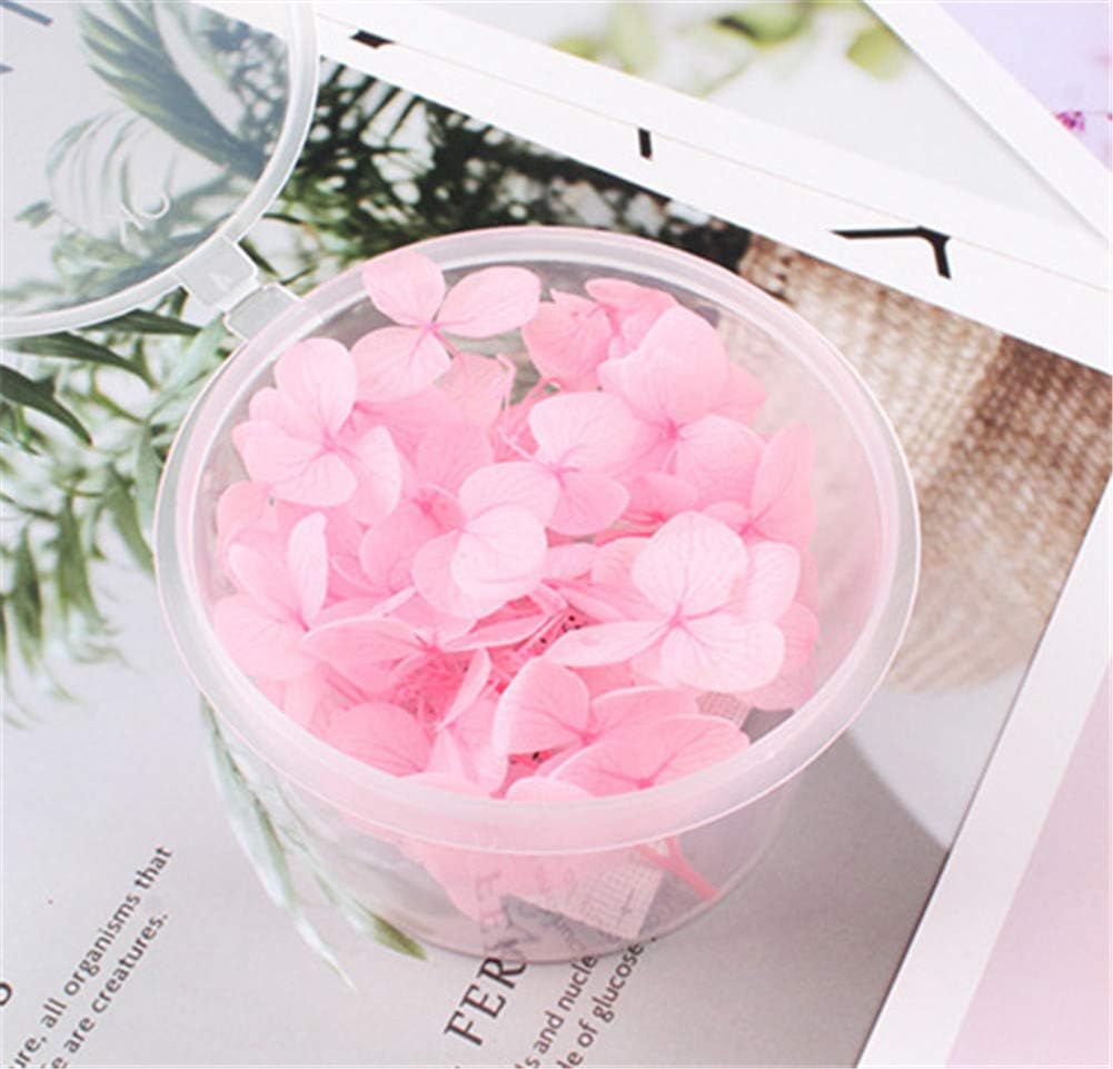 Natural Dried Flowers Hydrangea Pressed Scrapbooking Embellishments Dark Pink