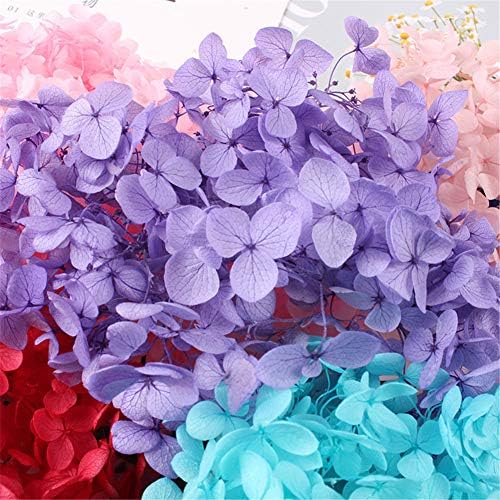 Natural Dried Hydrangea Flowers Purple DIY Craft Decor