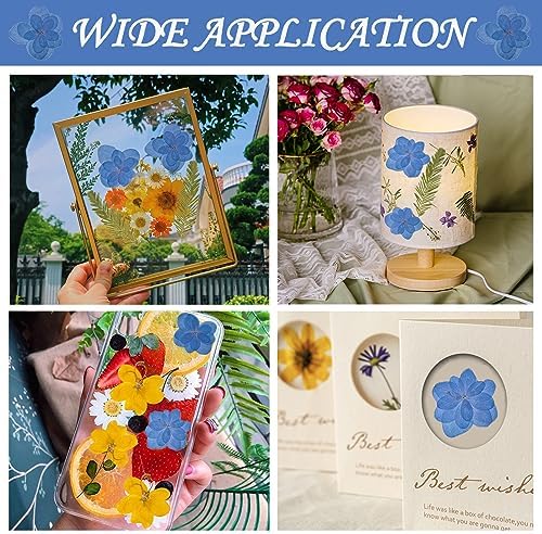 Blue Dried Flowers Double Hydrangea Resin Crafts Embellishments 60PCS