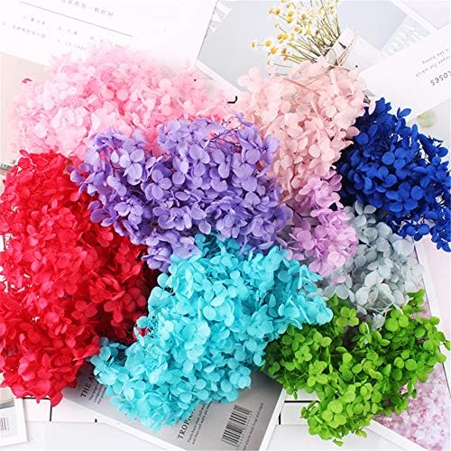 Natural Dried Hydrangea Flowers Purple DIY Craft Decor