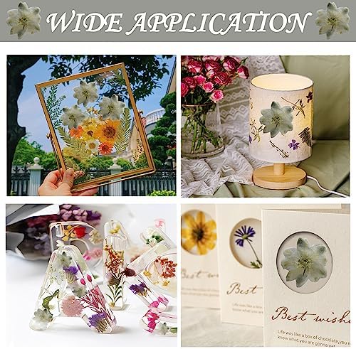 HEISENLIN White Pressed Larkspur Resin Embellishments 60PCS