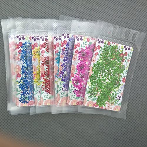 72 pcs 3D Dried Flowers for Nail Art and Resin