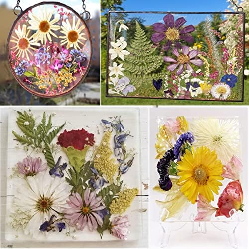 OECCO Large Red Dried Pressed Flowers for Resin Crafting