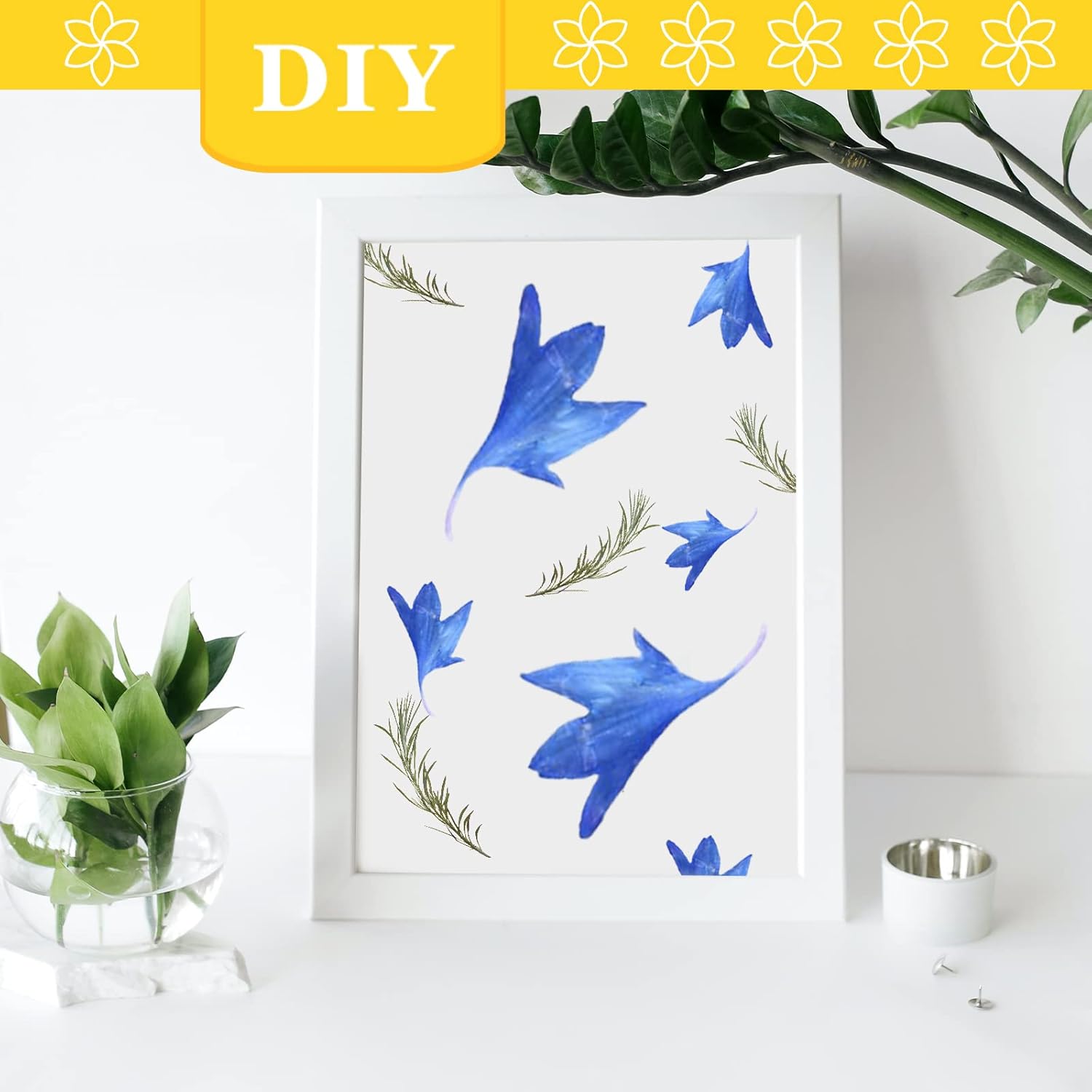 Blue Dried Pressed Corn-Flower for Resin Crafts 50PCS