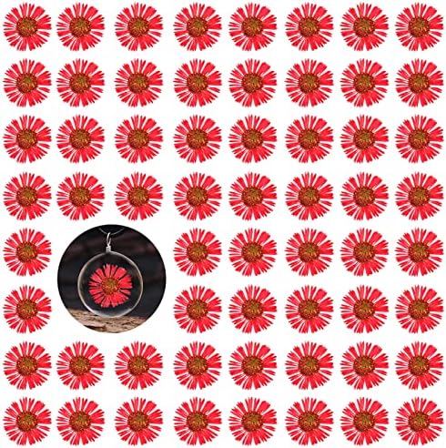 60PCS Natural Dried Chrysanthemum Flowers for Resin Jewelry and Craft