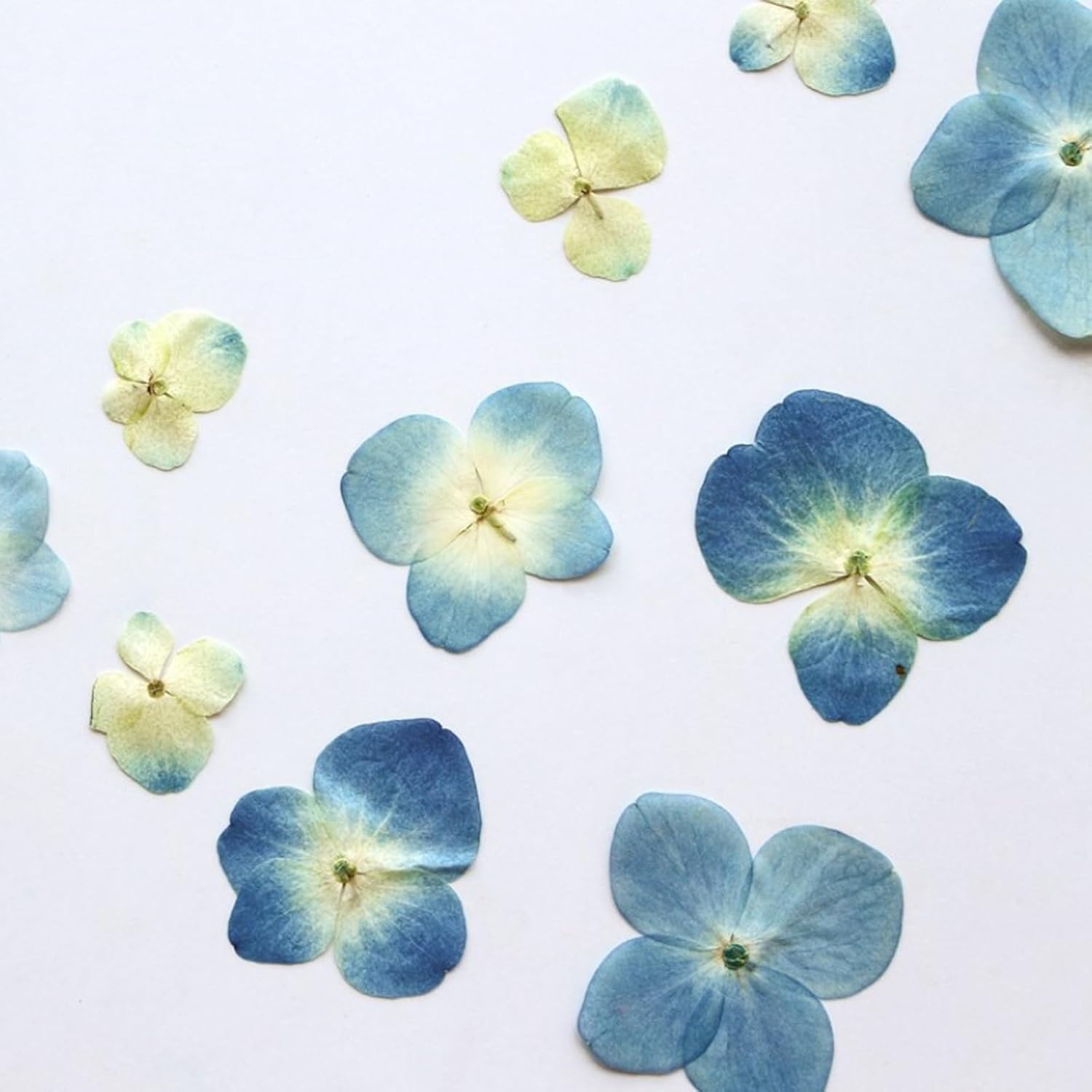 48 Pcs Dried Pressed Flowers for Resin DIY Art Crafts