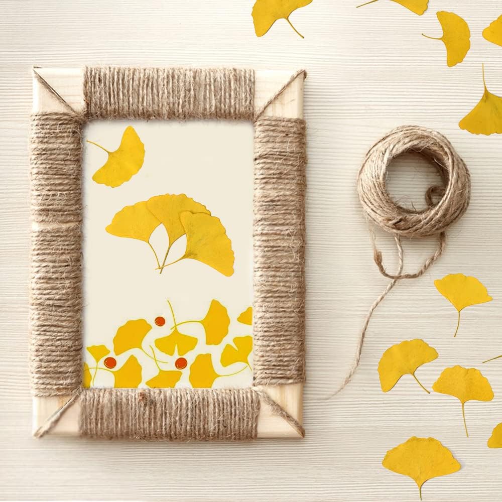 Yellow Dried Ginkgo Leaves for Resin Jewelry and Decor