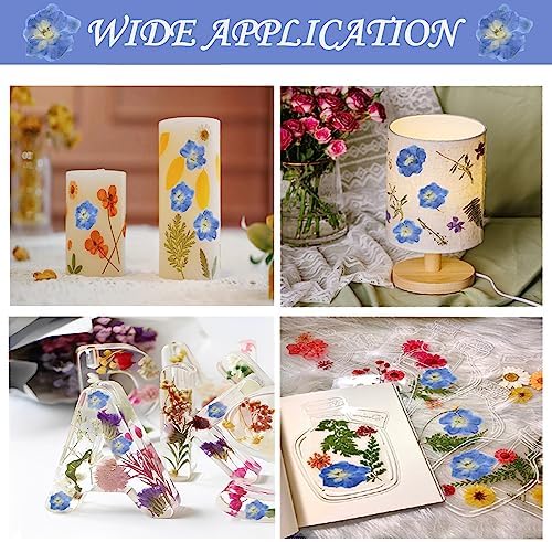 Blue Dried Larkspur Flowers 60PCS for Resin Craft Decor