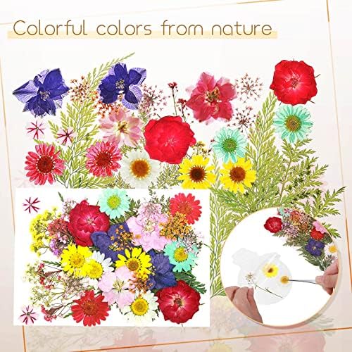 TaoBary 91 Pcs Transparent Dried Flower Bookmark Set with Butterflies Tassels and Tweezer