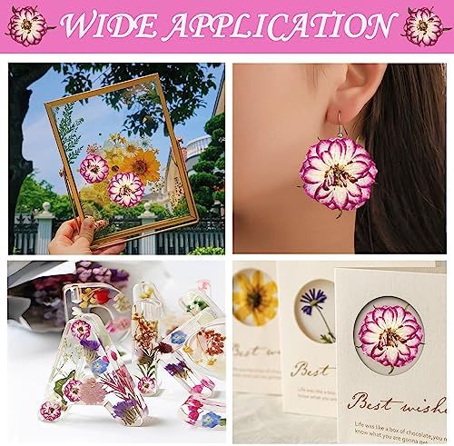Natural Dried Two-Tone Rose Flowers for Resin Crafts