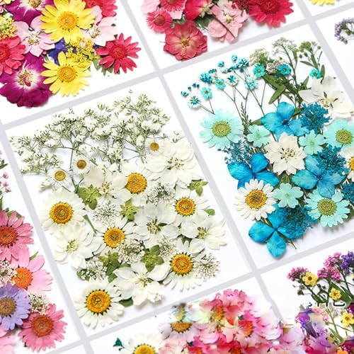 36Pcs Dried Pressed Flowers for Resin DIY Art Crafts