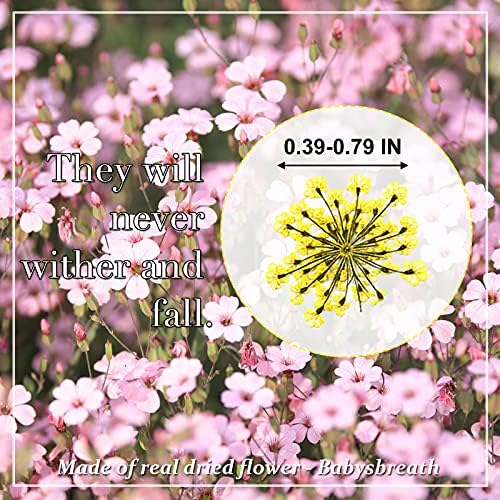 HEISENLIN Dried Gypsophila Flowers for Crafts and Artwork