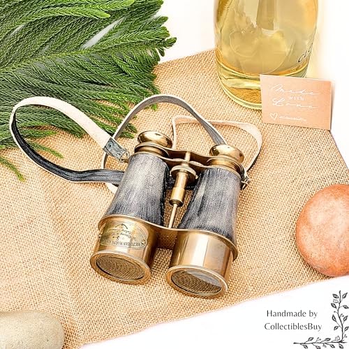 Antique Marine Victorian Binoculars with Brass and Leather Cover
