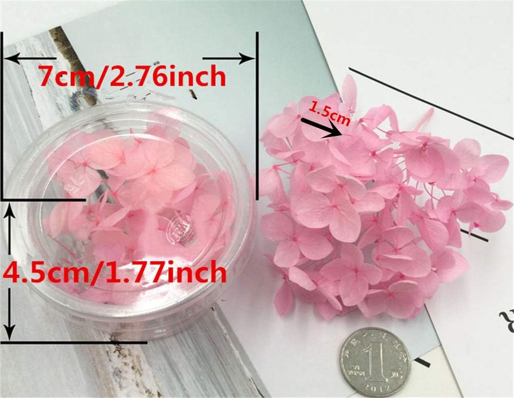 Natural Dried Hydrangea Flowers Purple DIY Craft Decor