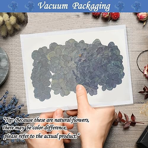 Blue Dried Flowers Double Hydrangea Resin Crafts Embellishments 60PCS
