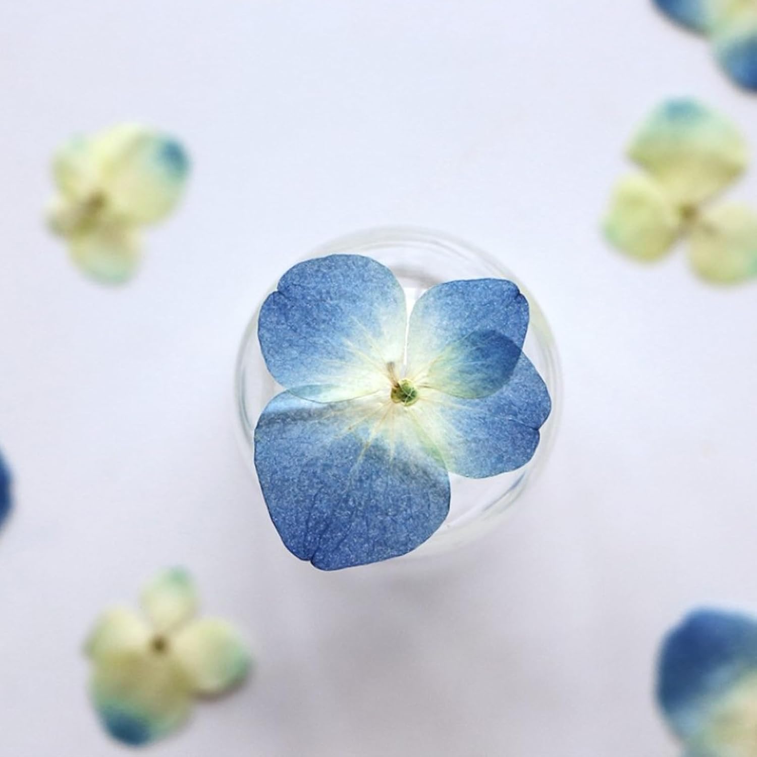 48 Pcs Dried Pressed Flowers for Resin DIY Art Crafts
