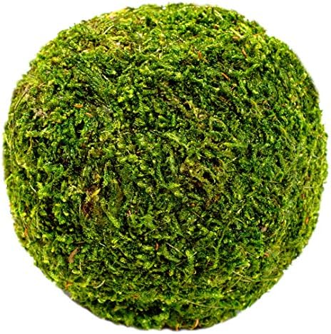 SuperMoss 4 Inch Fresh Green Moss Ball for Crafts