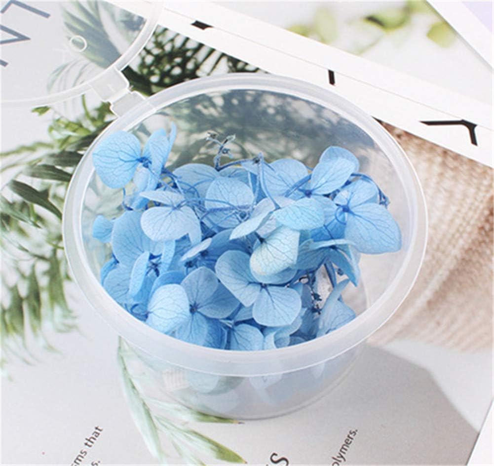 Ximkee Natural Dried Flowers Hydrangea Pressed Scrapbooking Embellishments Sky Blue