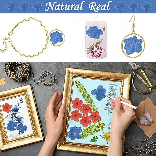 Blue Dried Flowers Double Hydrangea Resin Crafts Embellishments 60PCS