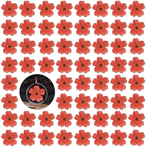 Red Dried Cherry Blossom Flowers for Resin Crafts 60PCS