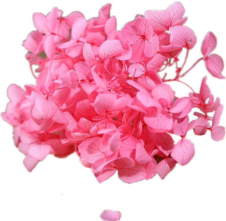 Natural Dried Flowers Hydrangea Pressed Scrapbooking Embellishments Dark Pink