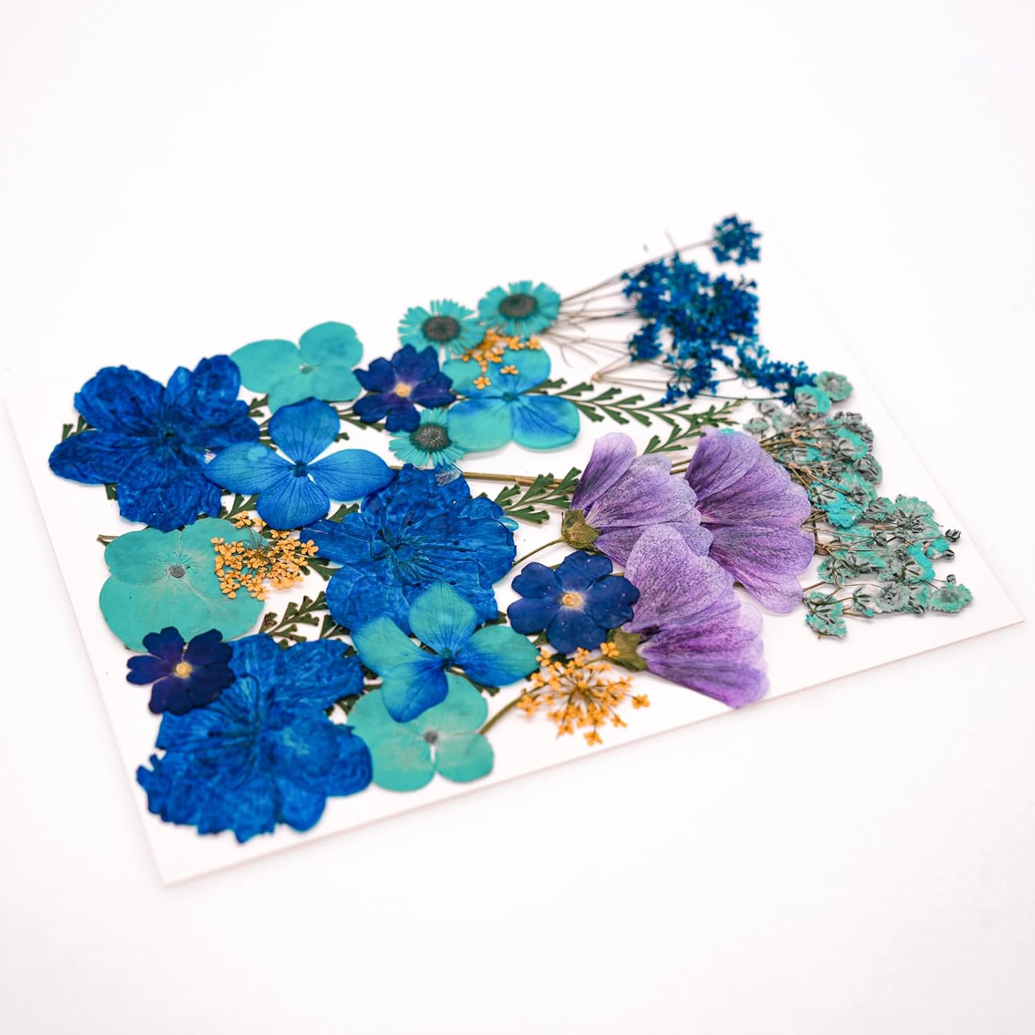 30 Pcs Dried Flowers Leaves Resin Crafting Decor