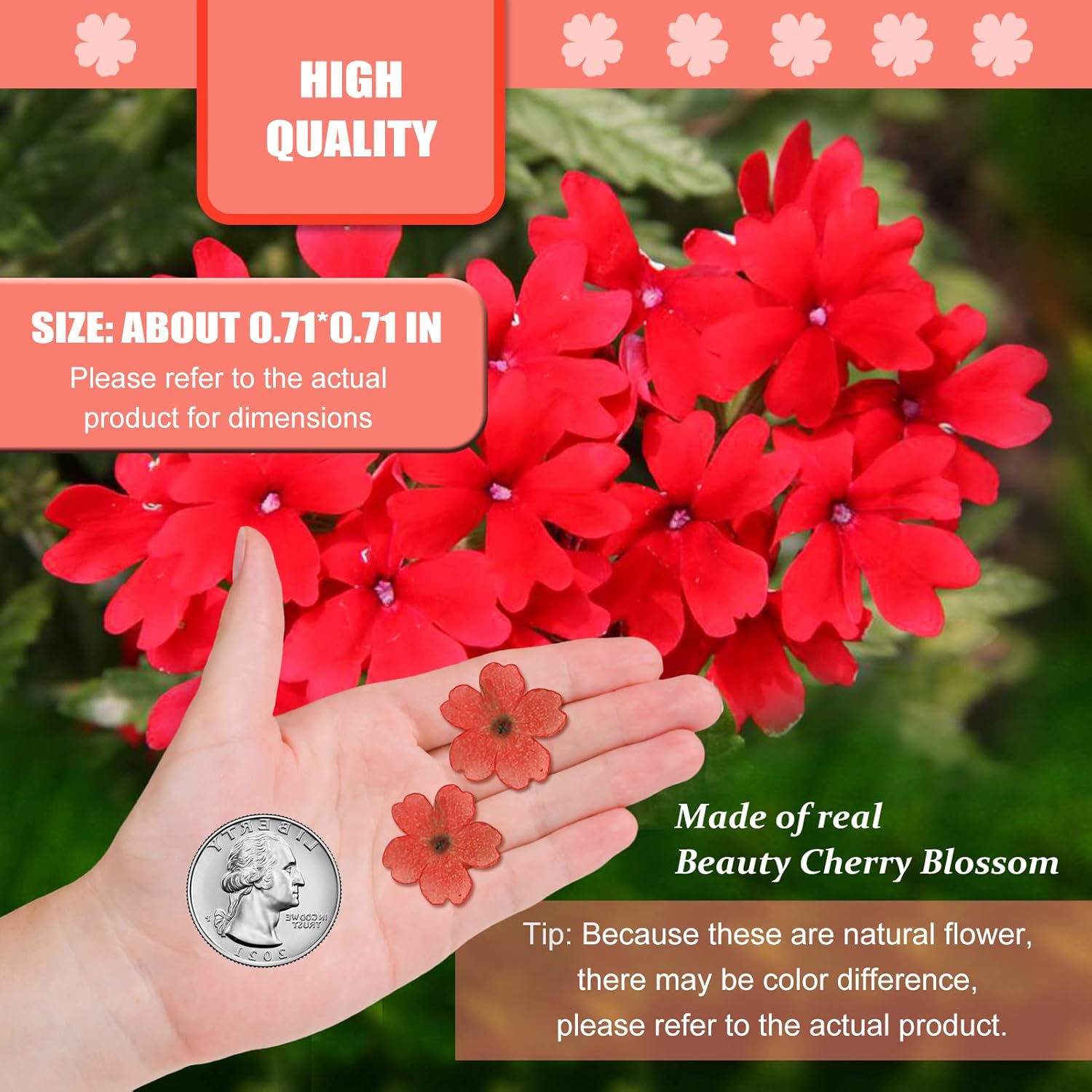 Red Dried Cherry Blossom Flowers for Resin Crafts 60PCS