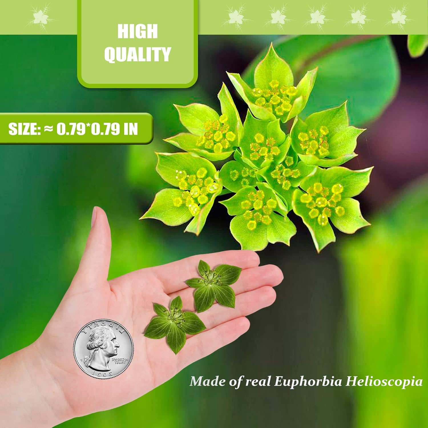 Green Dried Leaves for Resin Crafts 42PCS