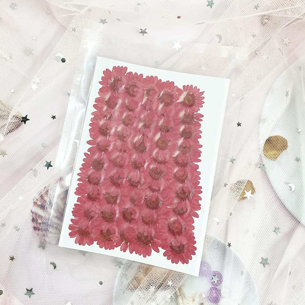50pcs Natural Dried Daisy Flower for Crafting and Decoration