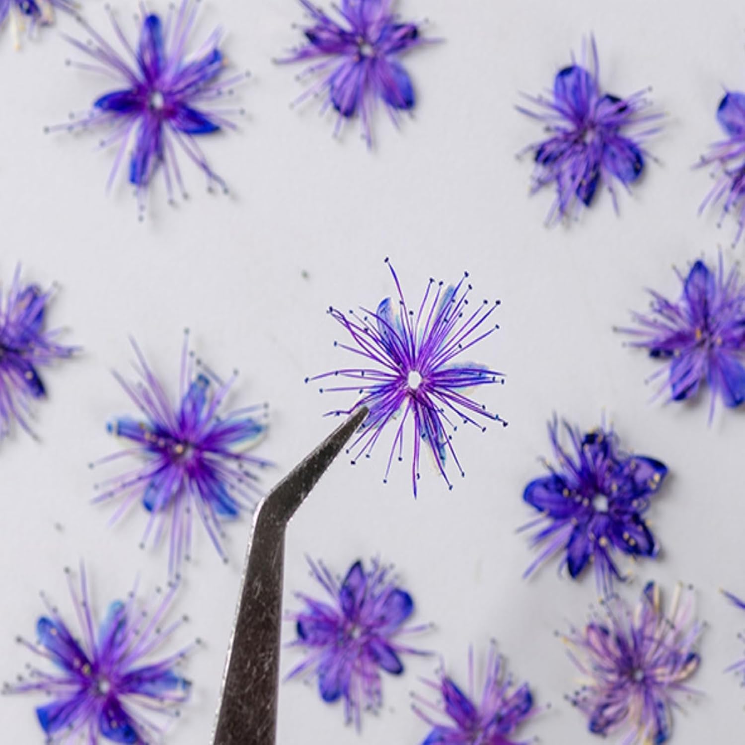 84 Pcs Dried Pressed Flowers for Resin Art DIY Crafts