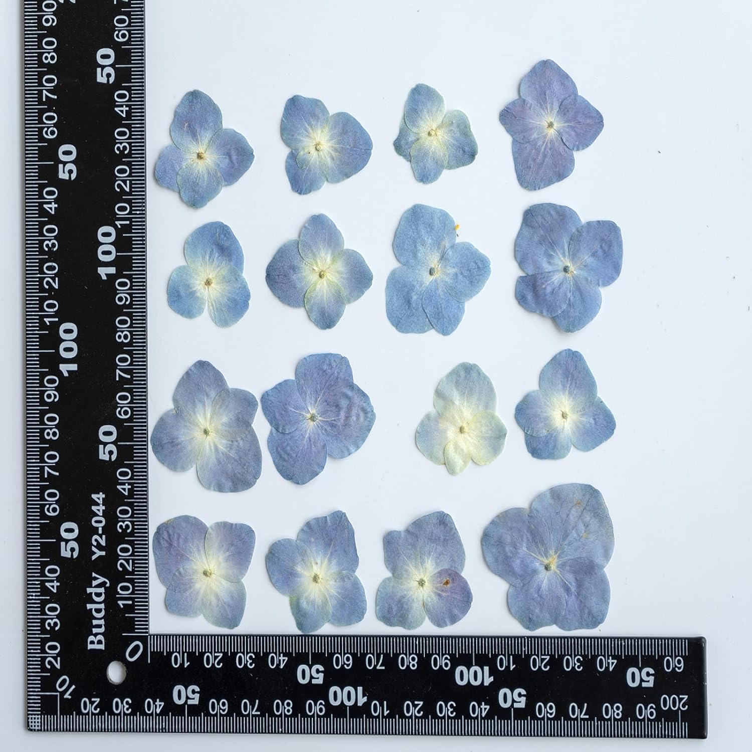 48 Pcs Dried Pressed Flowers for Resin DIY Art Crafts