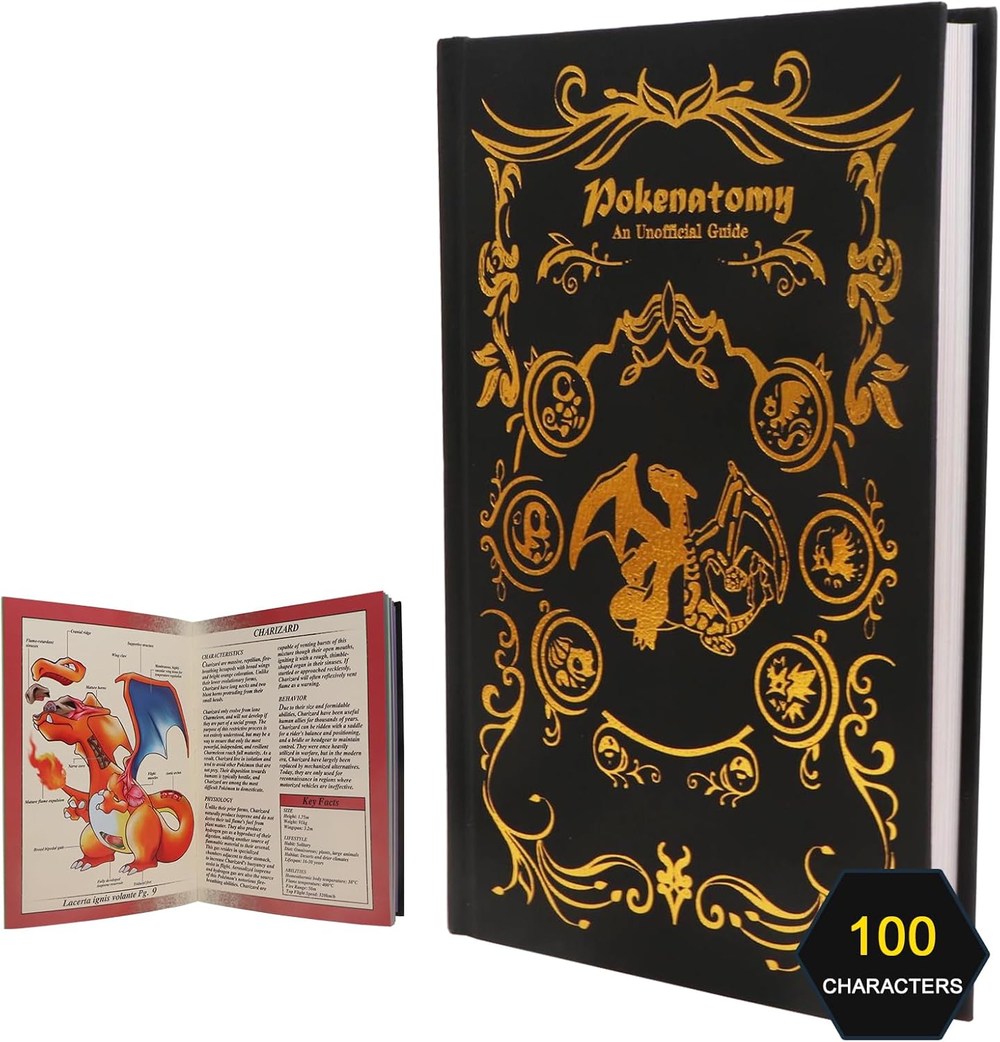 Pokenatomy Envelopes Binder for Christmas Birthday Gifts