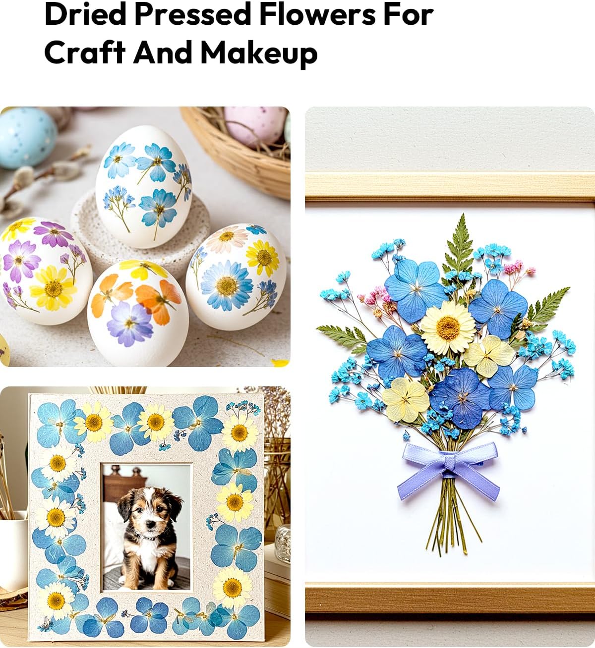 174 Pcs Dried Flowers Pressed for Crafts