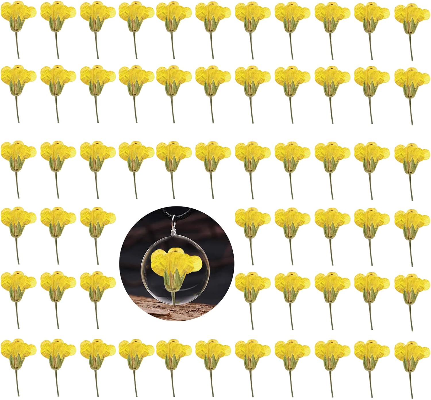 60PCS Yellow Pressed Rapeseed Flowers for Resin Crafts