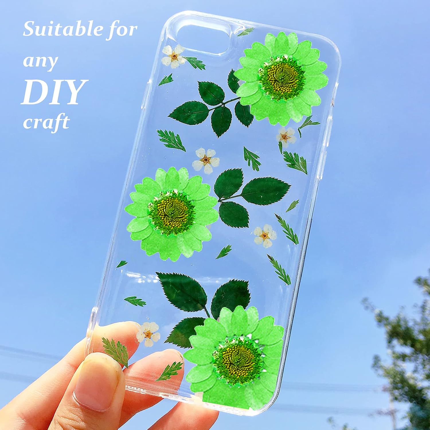 60PCS Dried Pressed Daisy Flowers for DIY Crafts