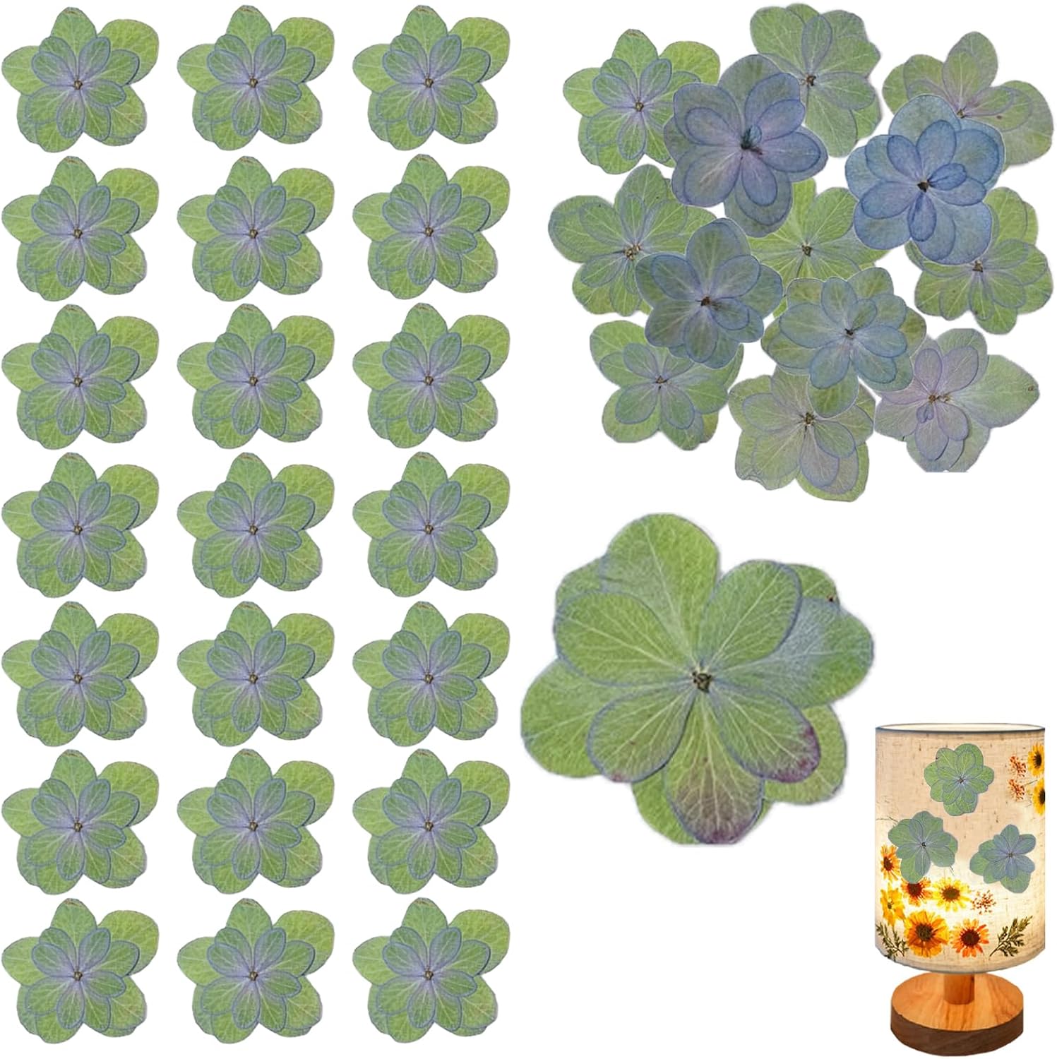 60PCS Green Dried Double Hydrangea for Resin Crafts