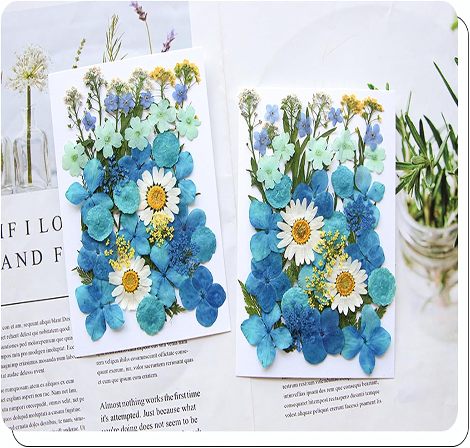 40 Pcs Dried Pressed Flowers Resin Art Craft Decor
