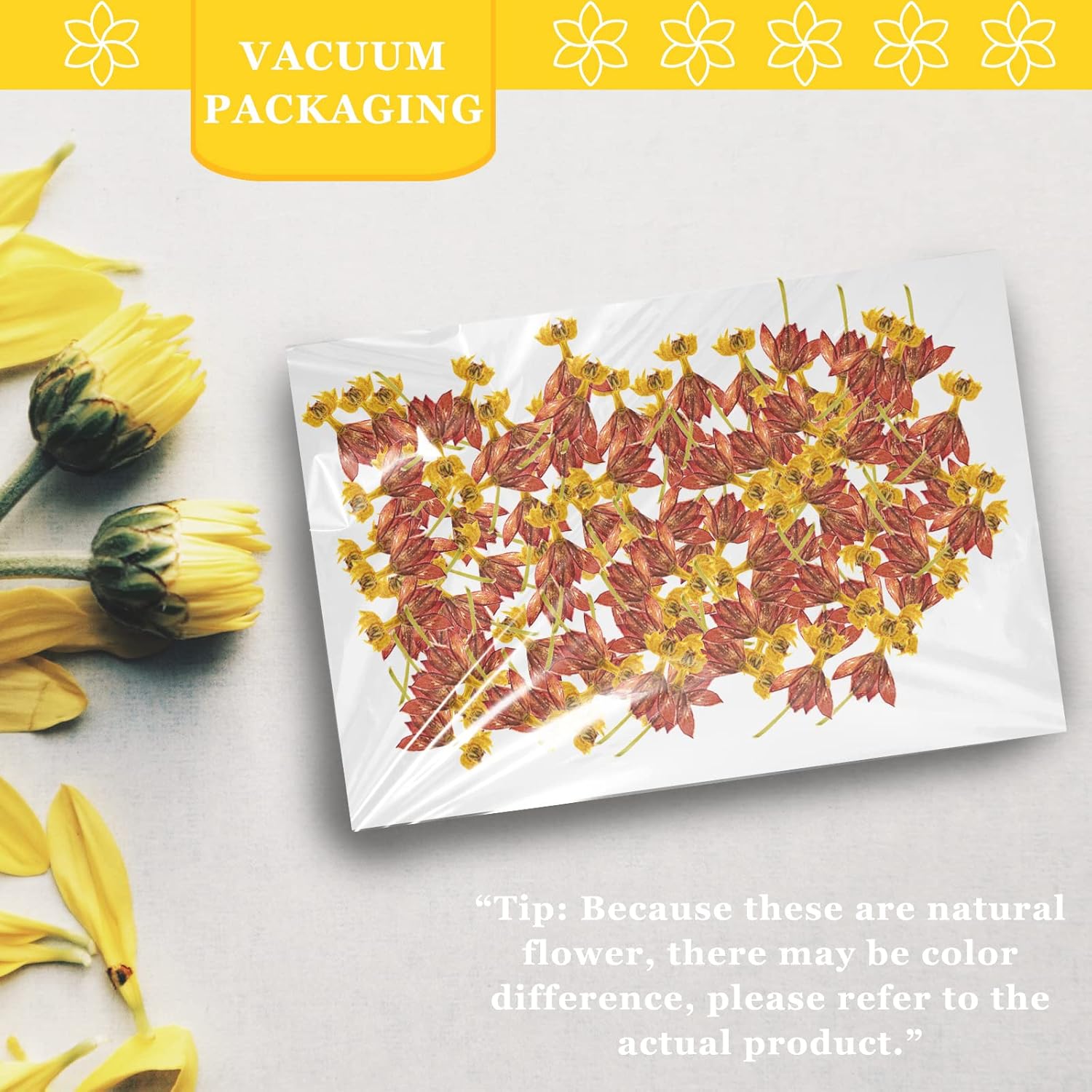 Dried Flowers Dancing Flower with Stem for Resin Crafts 60PCS