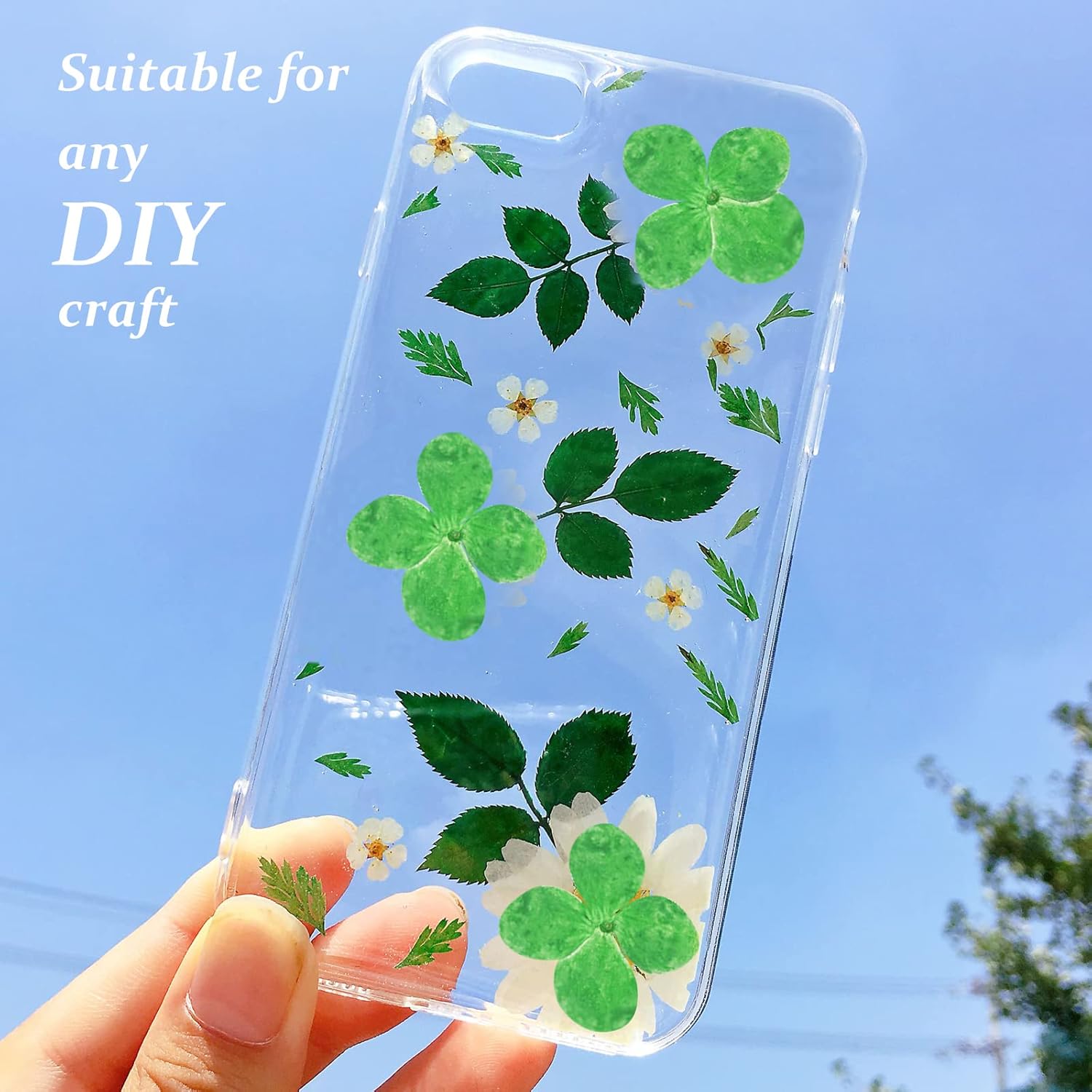 60PCS Natural Green Hydrangea Dried Flowers for DIY Crafts