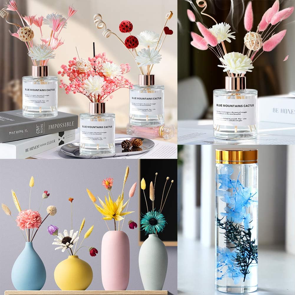 Vignee Real Dried Pressed Flower Daisies for Resin Jewelry Craft DIY
