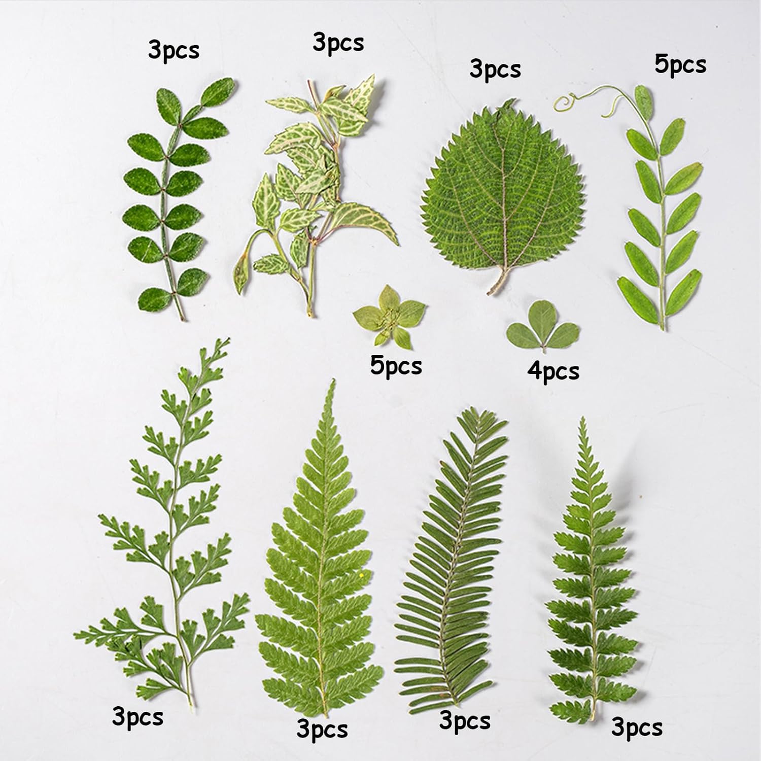35Pcs Dried Pressed Flowers Leaves for Resin Crafts DIY Art