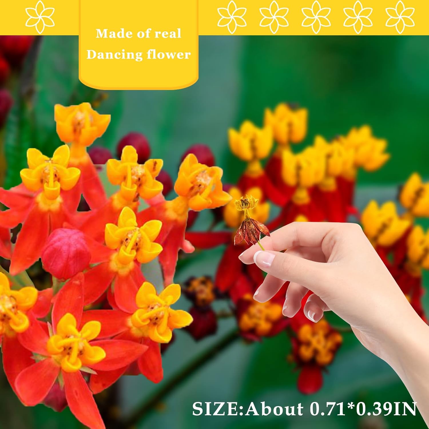 Dried Flowers Dancing Flower with Stem for Resin Crafts 60PCS