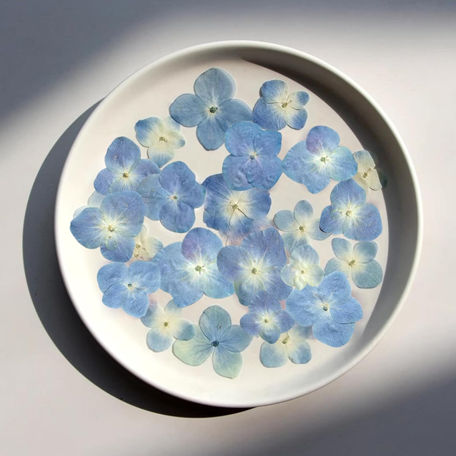 48 Pcs Dried Pressed Flowers for Resin DIY Art Crafts