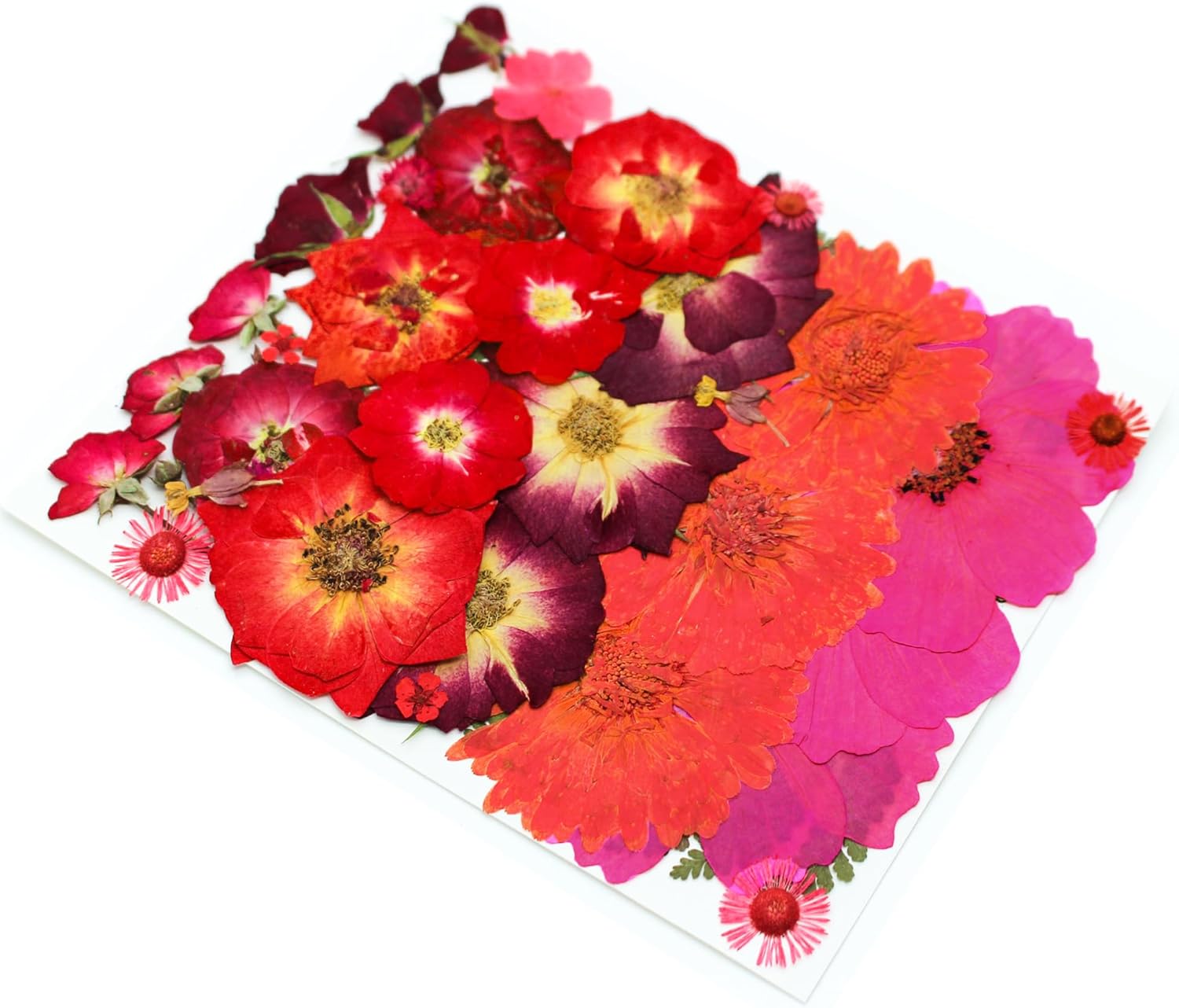 OECCO Large Red Dried Pressed Flowers for Resin Crafting