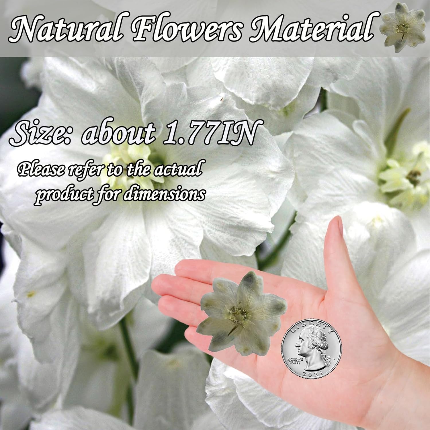 HEISENLIN White Pressed Larkspur Resin Embellishments 60PCS