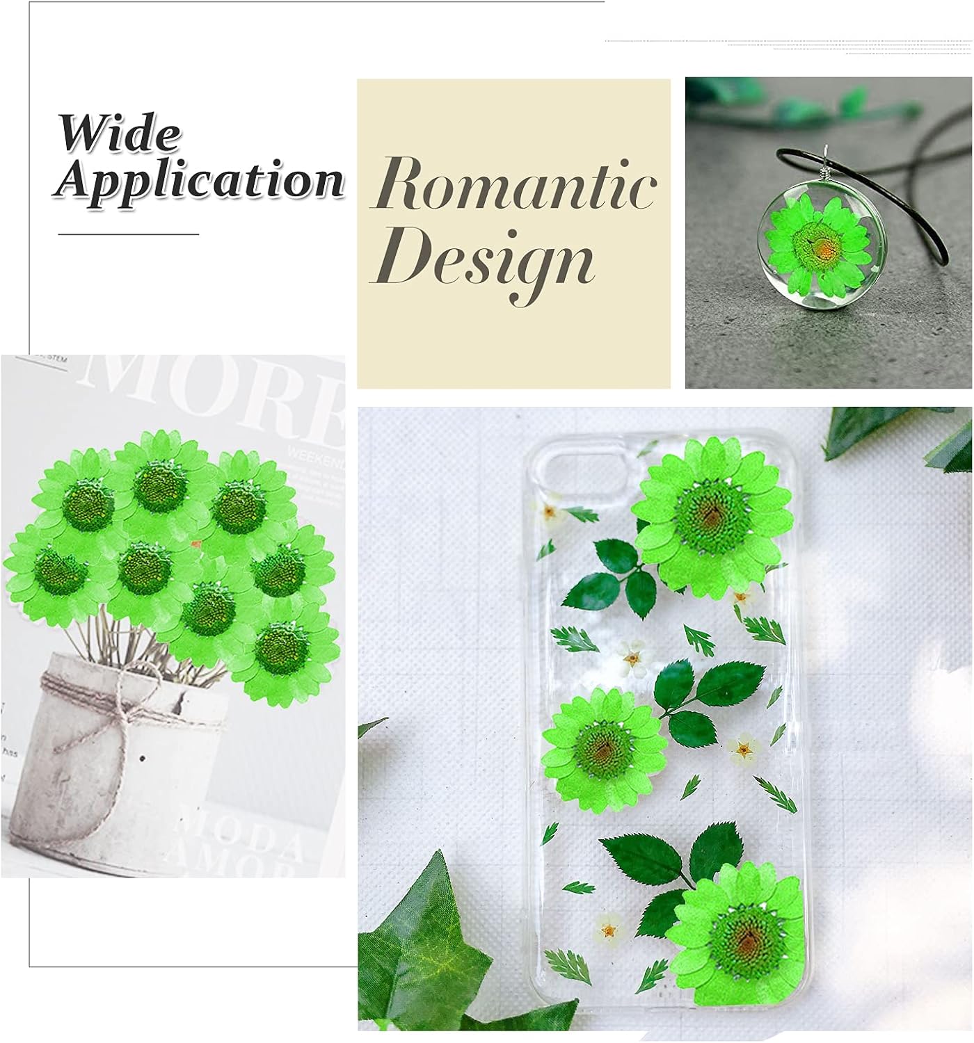 60PCS Dried Pressed Daisy Flowers for DIY Crafts