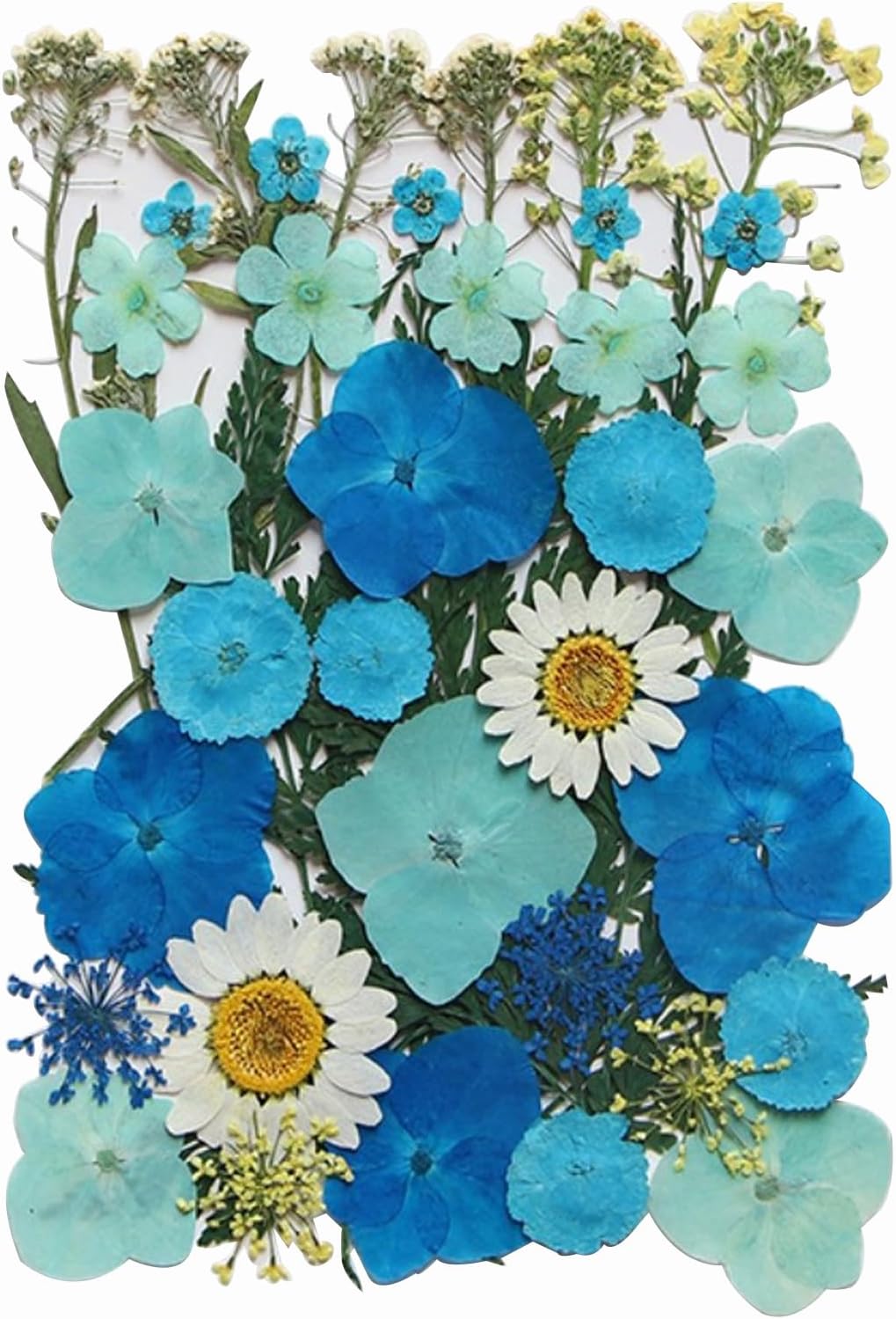 40 Pcs Dried Pressed Flowers Resin Art Craft Decor