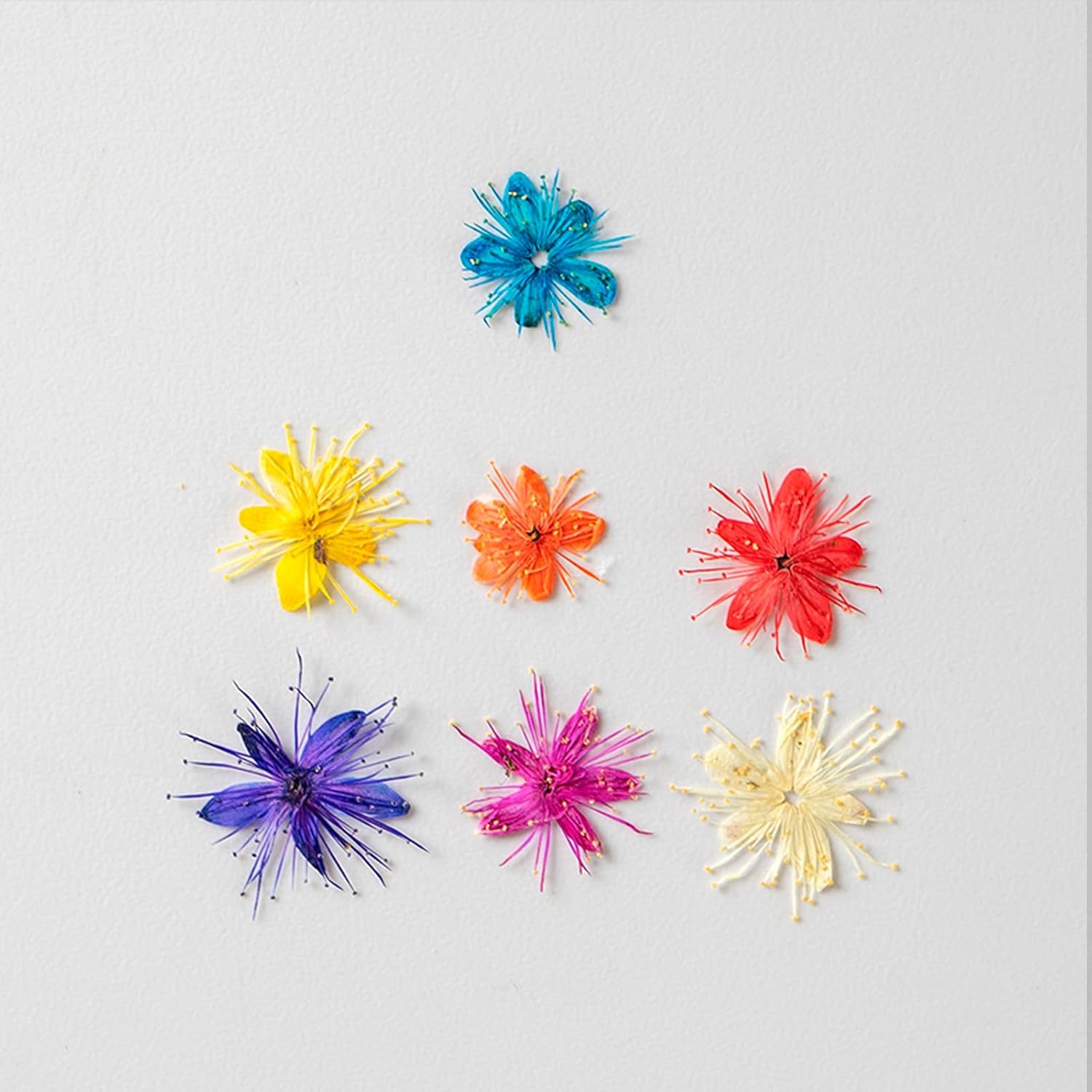 84 Pcs Dried Pressed Flowers for Resin Art DIY Crafts