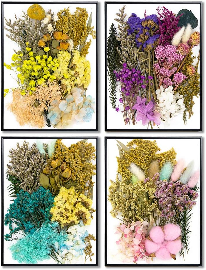 Vignee Real Dried Pressed Flower Daisies for Resin Jewelry Craft DIY