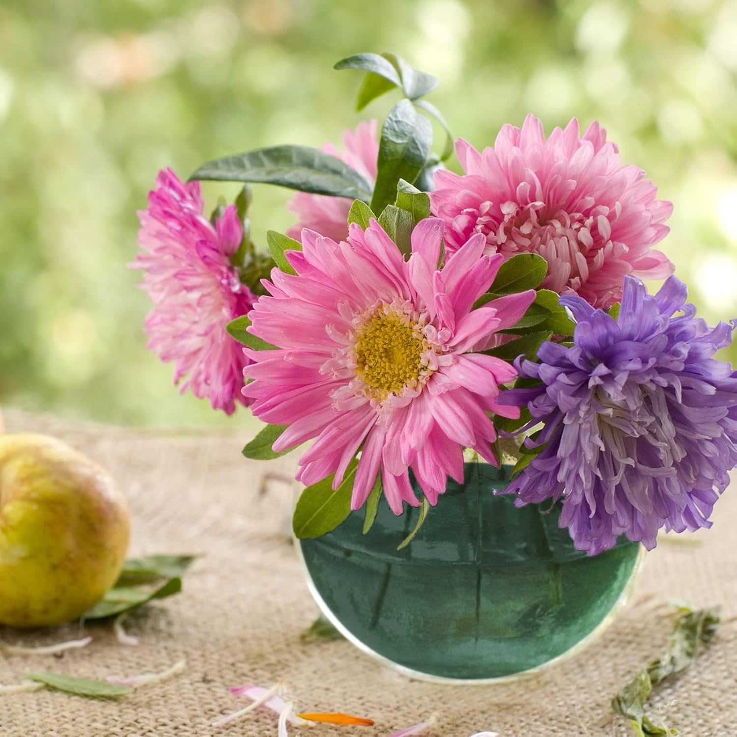 Boao Floral Dry Foam Half Ball 4 Pack